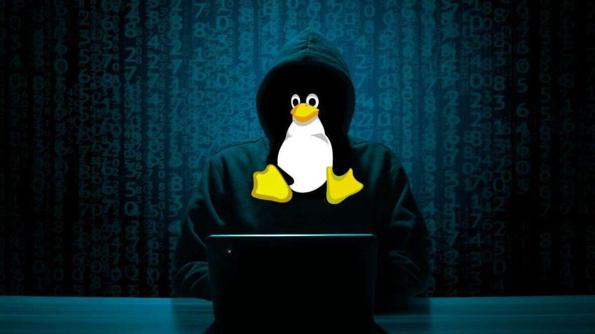 Matrice Digitale_linux-compressed