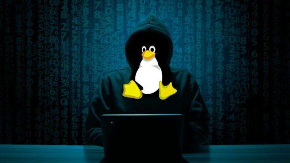Matrice Digitale_linux-compressed