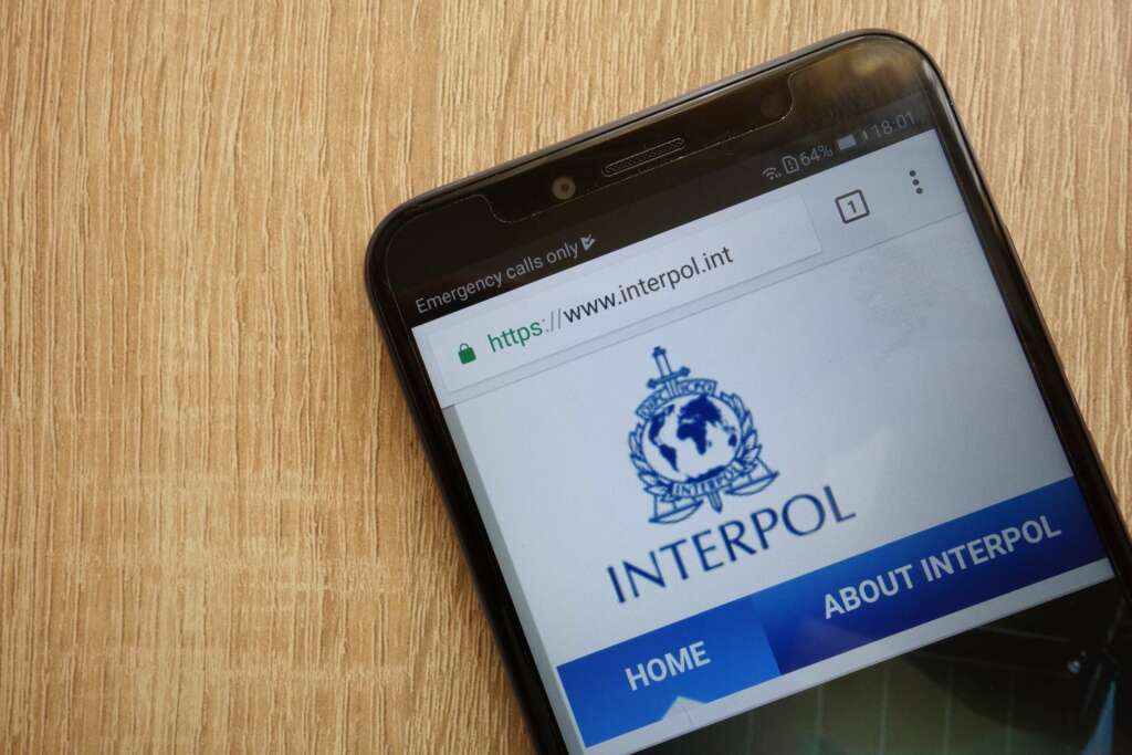 23andMe dichiara fallimento e INTERPOL arresta 300 persone contro le truffe online in Africa 7 interpol cellulare 2500x1667 2500x1667