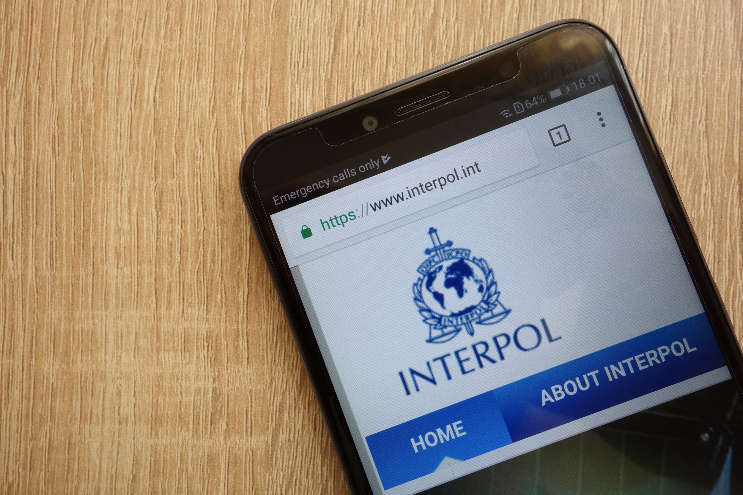 23andMe dichiara fallimento e INTERPOL arresta 300 persone contro le truffe online in Africa 4 interpol cellulare