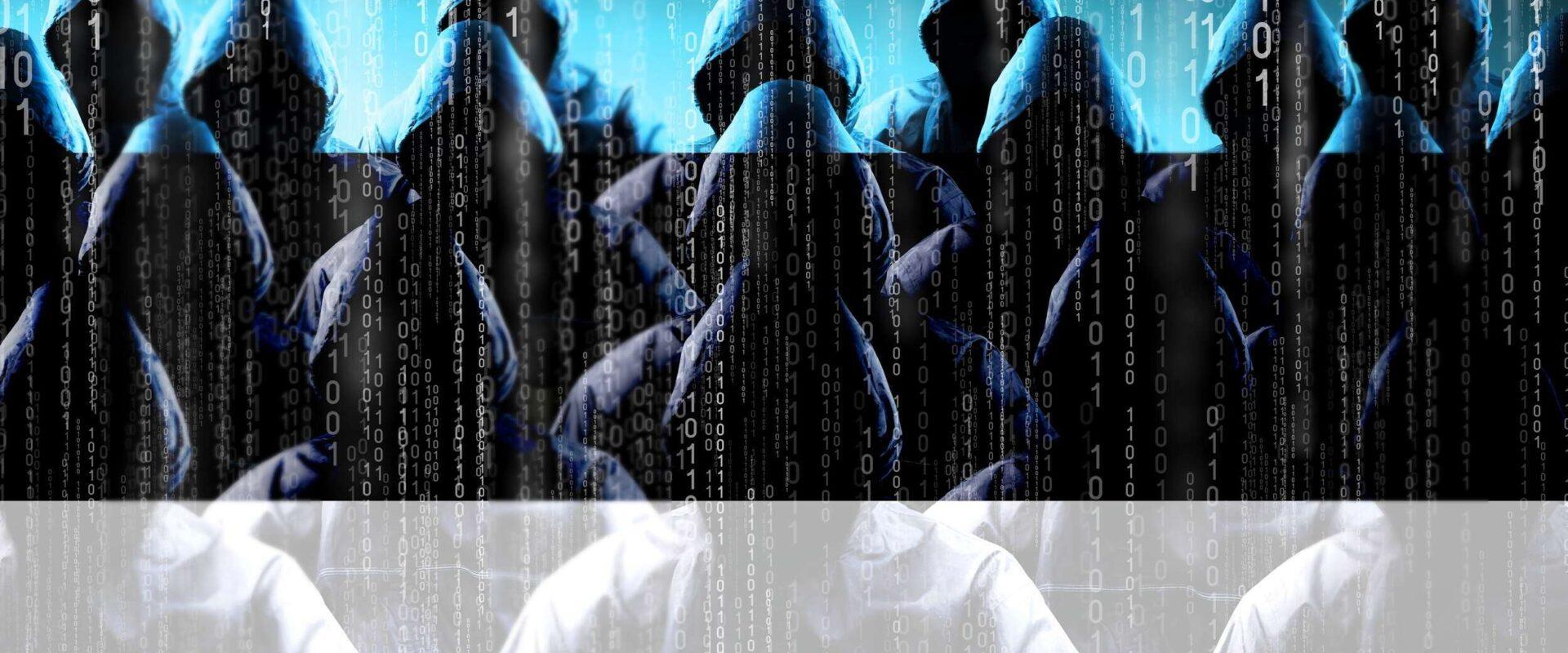 estonia hacker 2500x1667 2500x1667