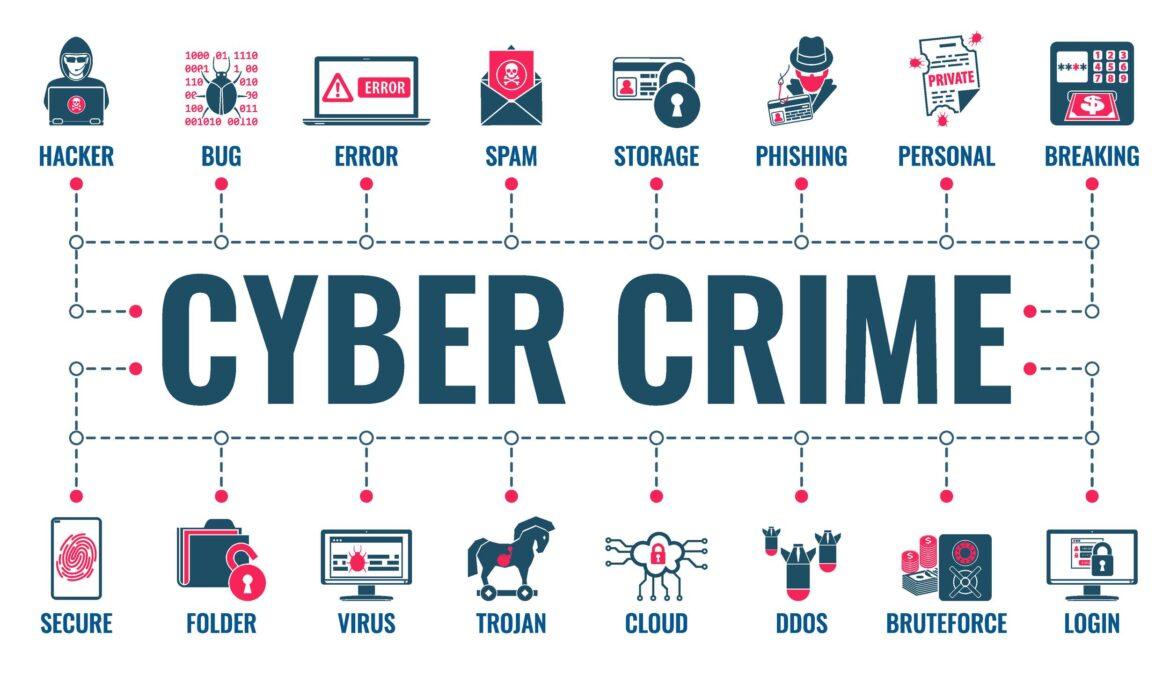 cyber crime