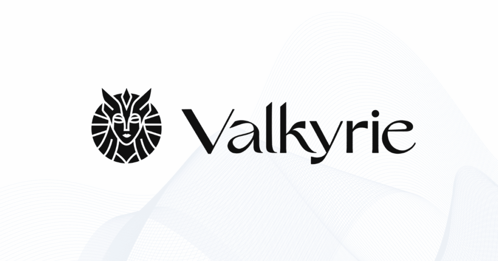 Valkyrie ha perso il più grande investitore nel suo round di finanziamento da 11 milioni di dollari 2 valkyrie link preview image