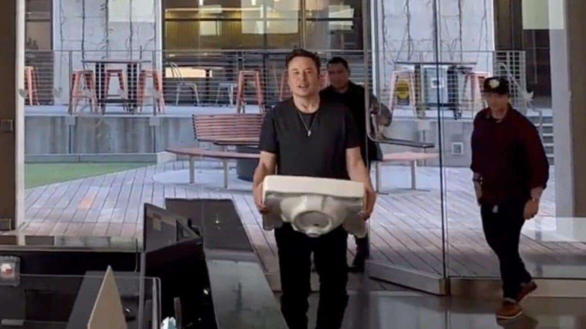 Musk-Lavandino-1200×675