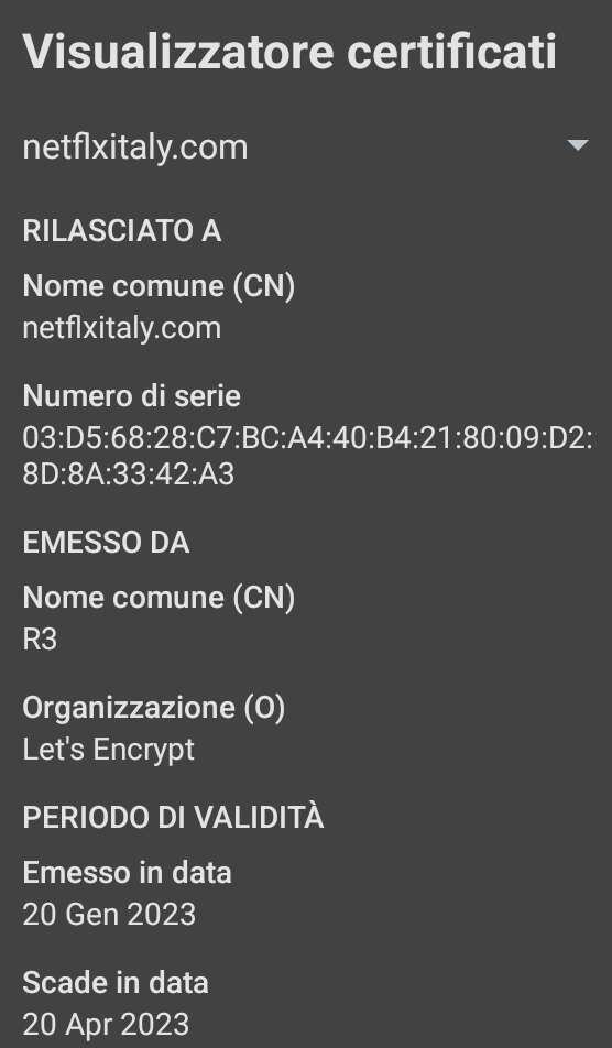 Phishing, attenzione ai falsi messaggi che sembrano provenire da Netflix 12 Screenshot 20230126 175810 Chrome