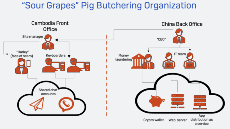 Cambogia: ecco spiegata la tecnica del "maiale" che ha fruttato 3 milioni 6 image 6