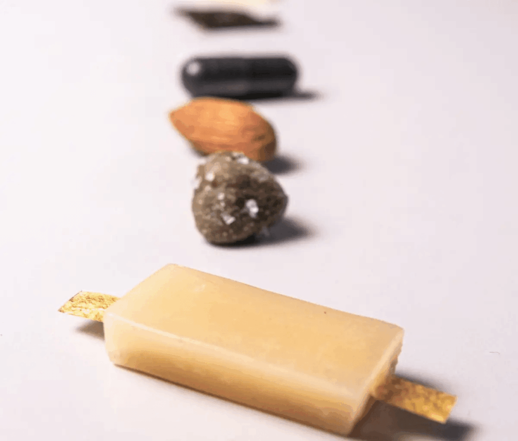 Presentata la prima batteria commestibile al mondo, realizzata in Italia 2 image 188