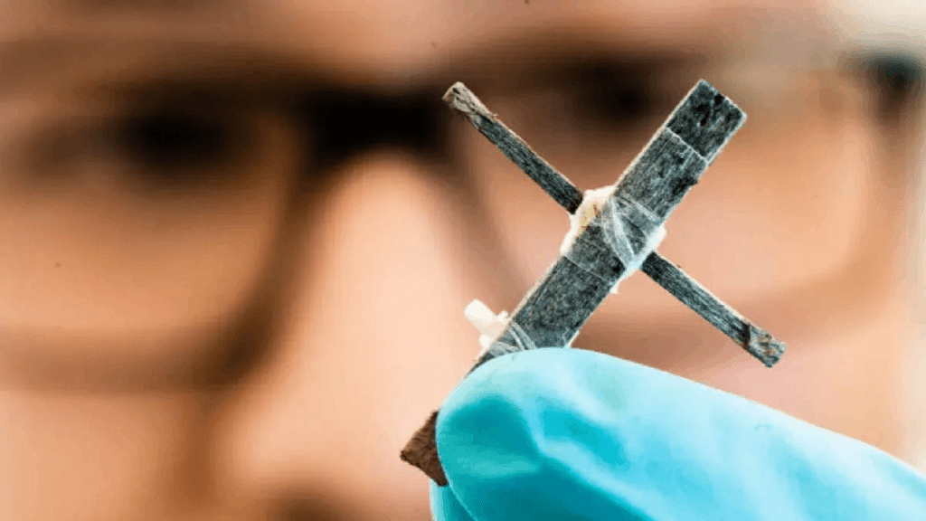 Il primo transistor in legno elettrico al mondo è stato finalmente inventato 6 image 1