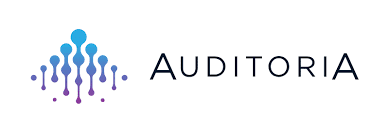 Auditoria.AI: rivoluziona le funzioni finanziarie attraverso l'Intelligenza Artificiale 6 image 344