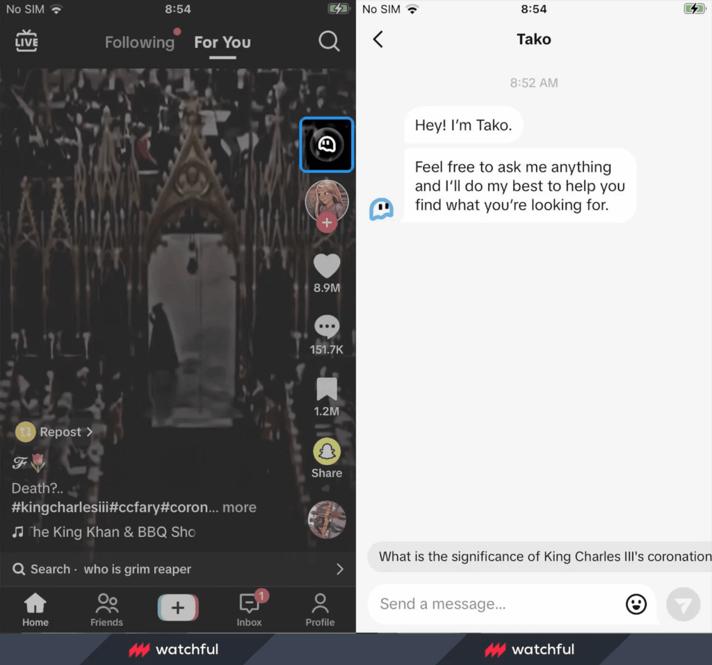 TikTok sperimenta Tako, nuovo Chatbot AI: rivoluzionerà la ricerca? 2 image 439