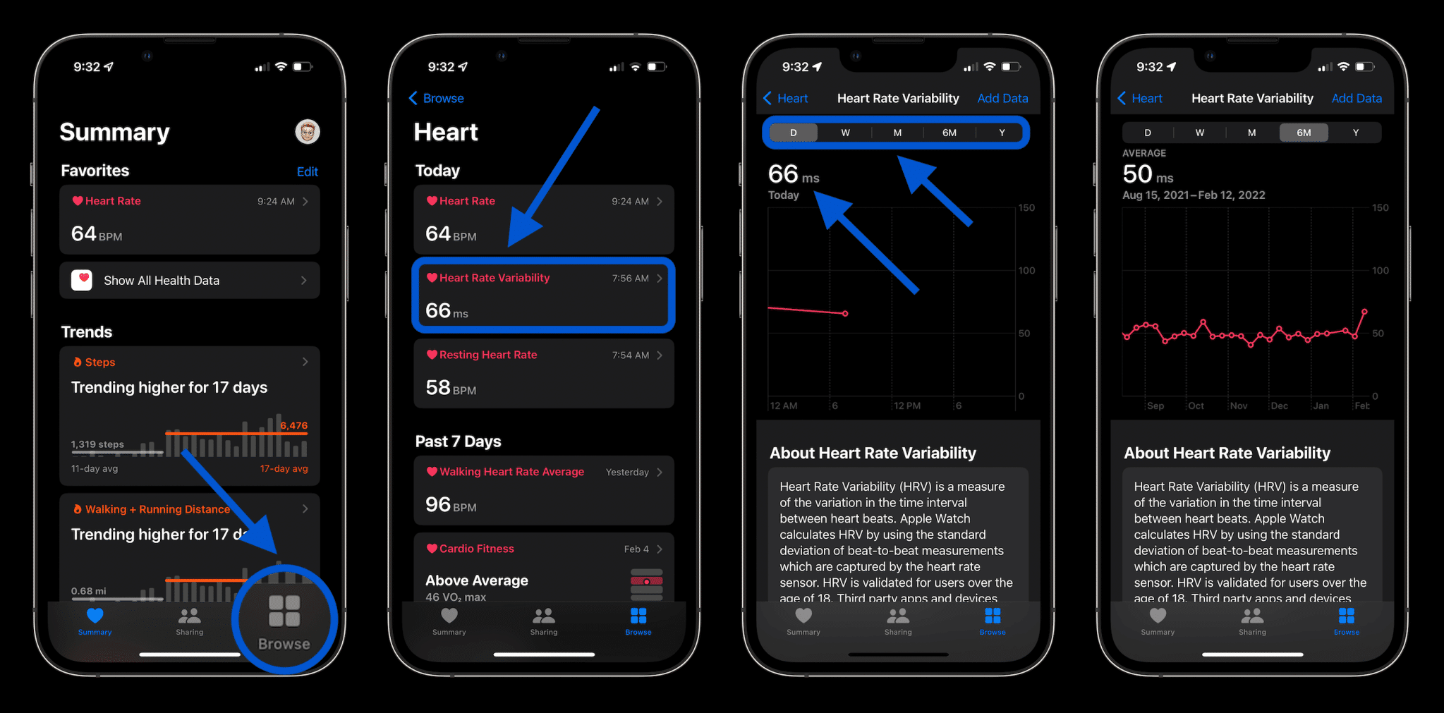 Come utilizzare l'HRV con Apple Watch e iPhone 6 image 500