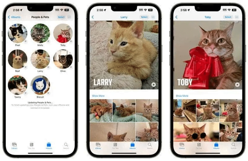 iOS 17: otto nuove funzionalità fotografiche per migliorare l'esperienza su iPhone 6 image 689