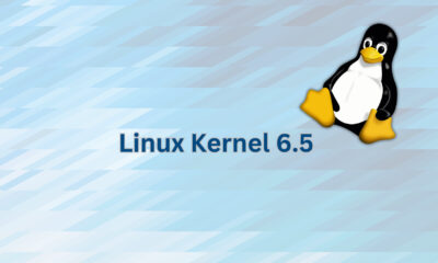 Linux Kernel 6.5