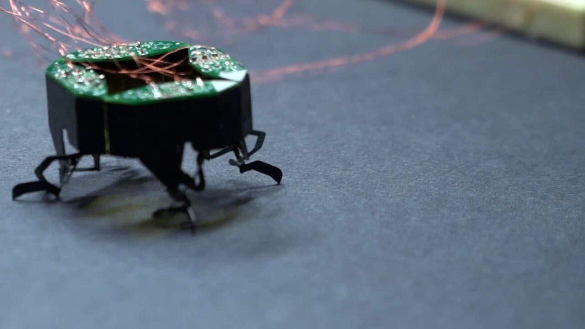 CLARI: il robot insetto