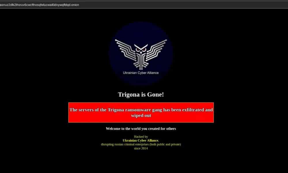 Ransomware, Trigona colpita dagli ucraini