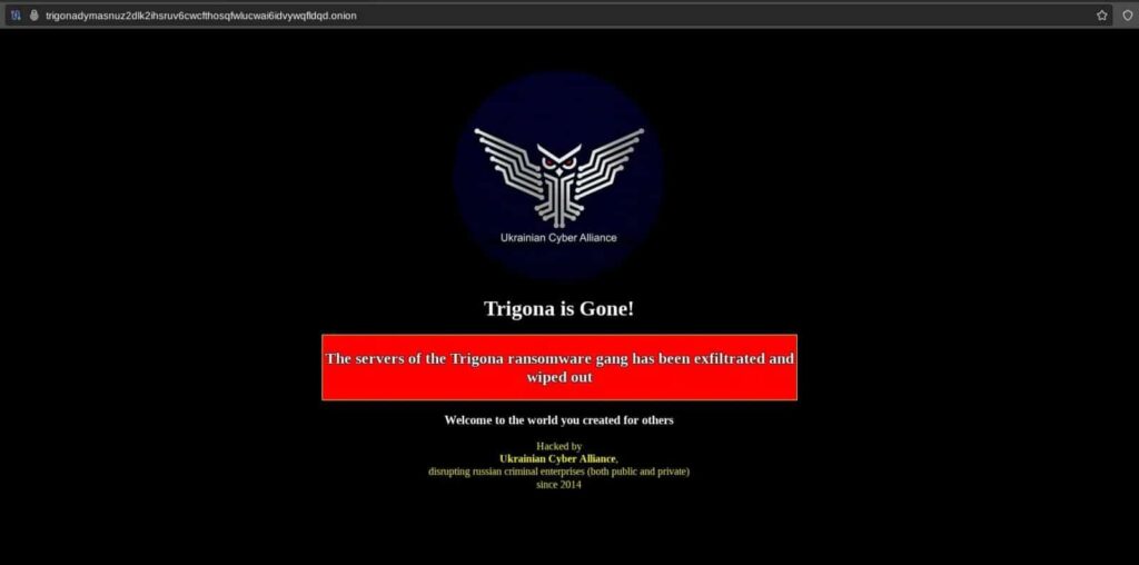 Ransomware, Trigona colpita dagli ucraini: cancellati i server 2 Ransomware, Trigona colpita dagli ucraini