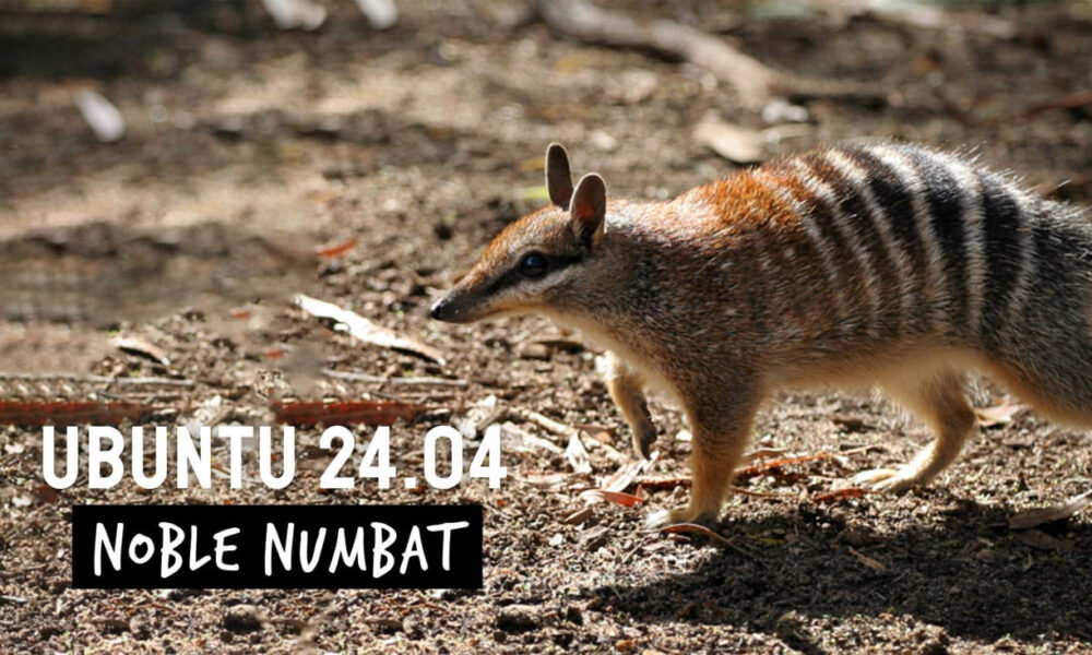 Ubuntu 24.04 LTS "Noble Numbat"