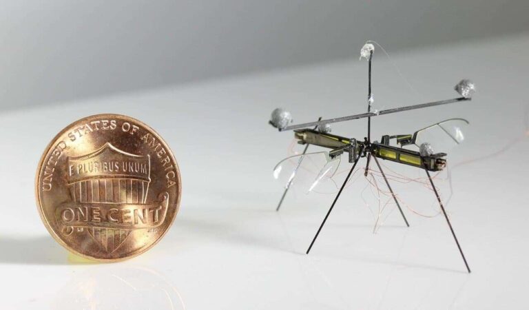 insect robot