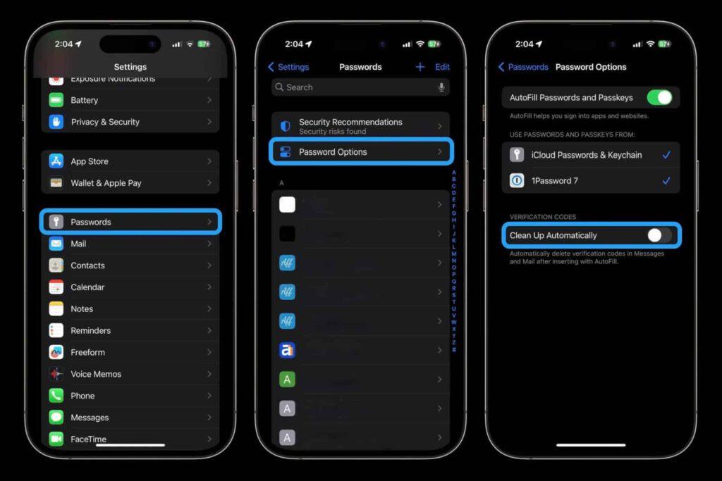 Come eliminare automaticamente i codici di verifica 2FA su iPhone con iOS 17 7 image 10