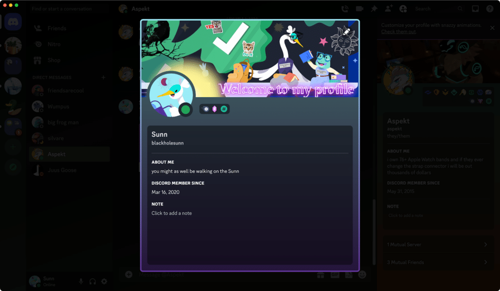 Novità per il profilo Discord: decorazioni e effetti 6 image 273