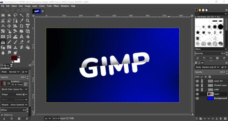 gimp