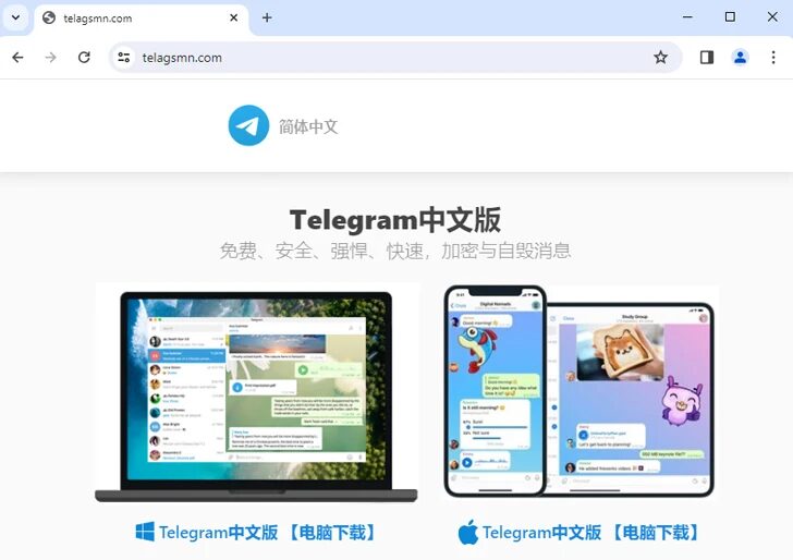 Malvertising Google Telegram Cina