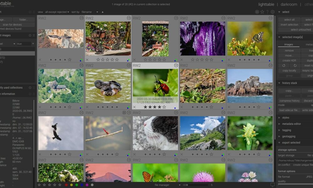 Darktable 4.6.1