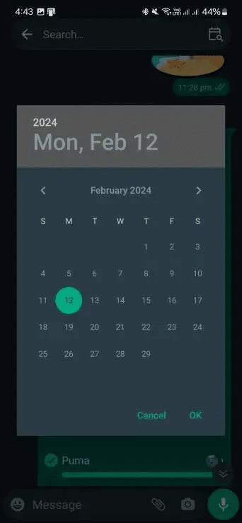 WhatsApp semplifica la ricerca dei messaggi su Android 6 image 16