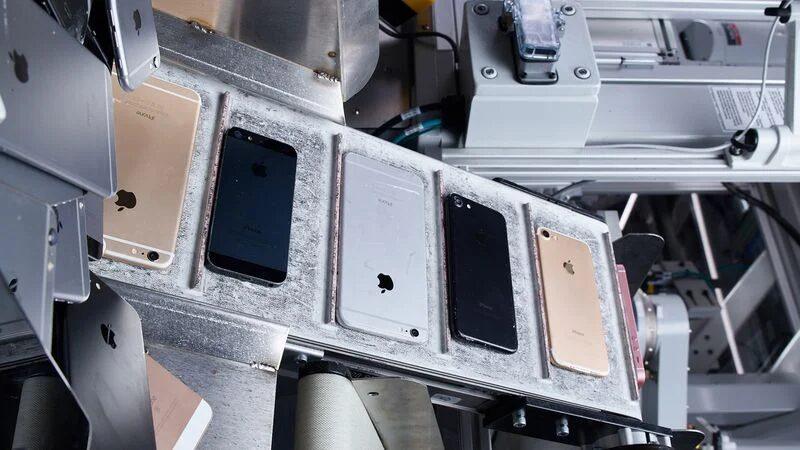 Apple Celebra la Giornata della Terra e della danza 8 image 144