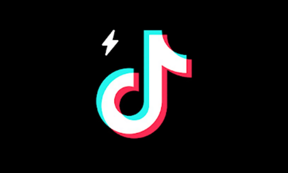 TikTok Lite DSA