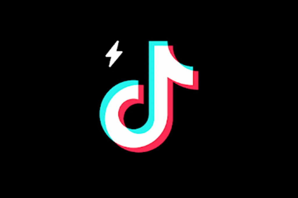 TikTok Lite DSA