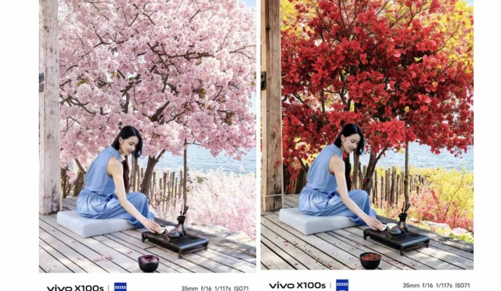 Vivo X100s introduce funzionalità AI "Ritratto delle Quattro Stagioni" 7 image 270 4