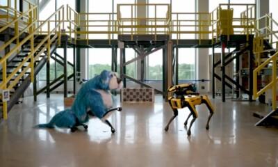 Cani Robot ballano ed il Web commenta: "Incubo Assicurato"