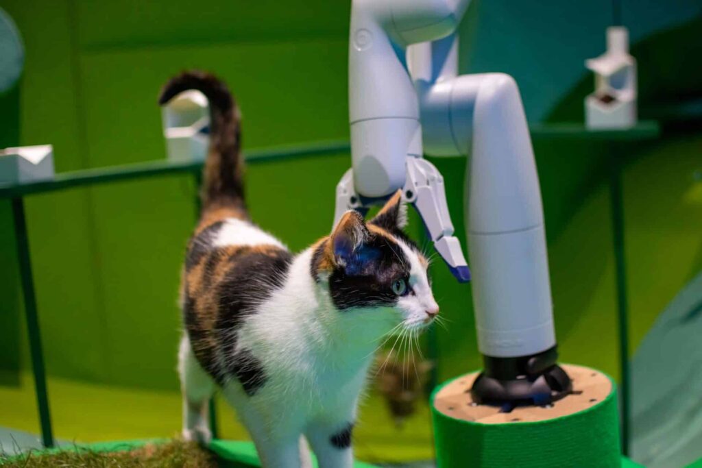 Gatti e Robot: studio mostra cosa occorre per fidarsi