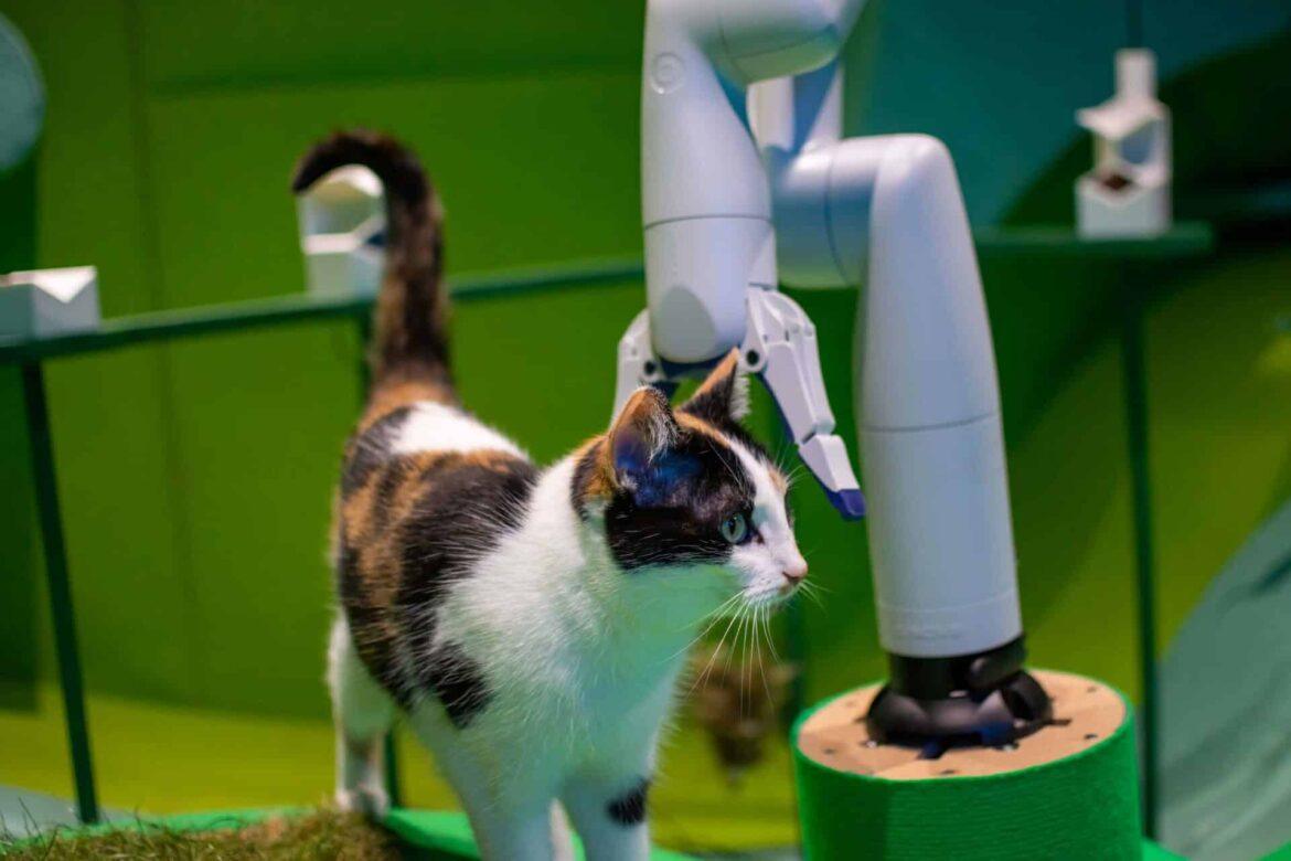 Gatti e Robot: studio mostra cosa occorre per fidarsi