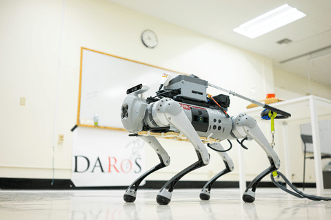 Robot guida addestrati dai cani per non vedenti 8 image 148