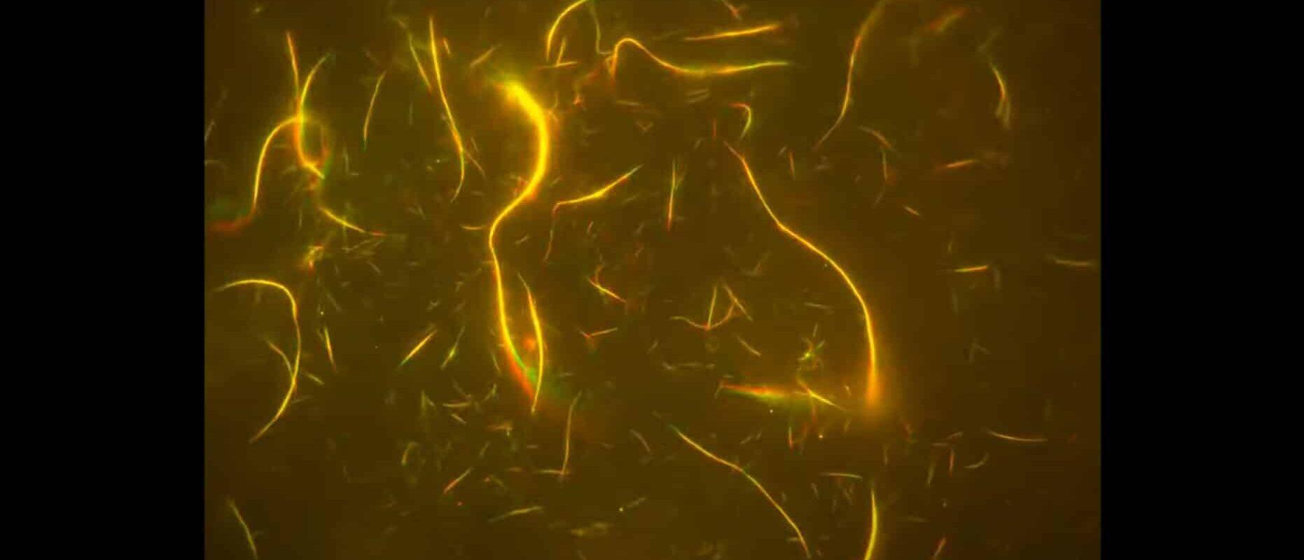 Screenshot 2024 06 15 103831