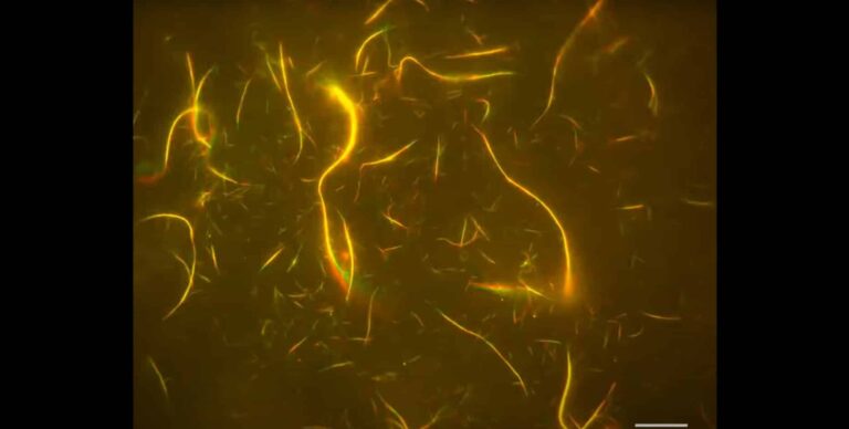 Screenshot 2024 06 15 103831