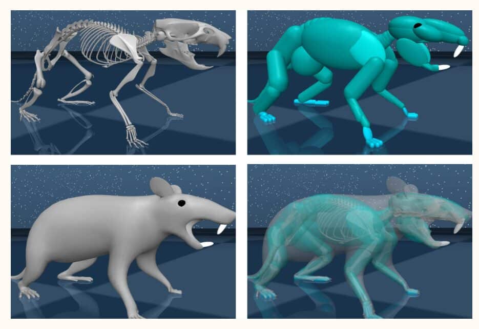 Grazie a un ratto virtuale renderemo i robot più agili? 6 image 105 3