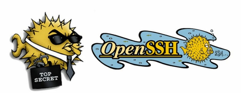 Vulnerabilità Regresshion in OpenSSH: RCE e Root su server Linux 6 image 6 3