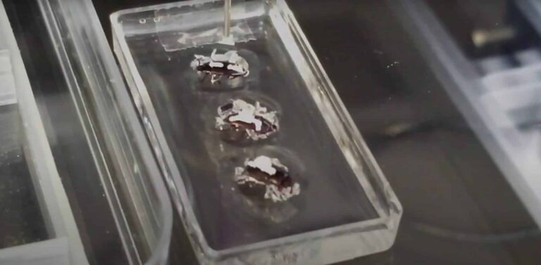 Screenshot 2024 08 25 162859