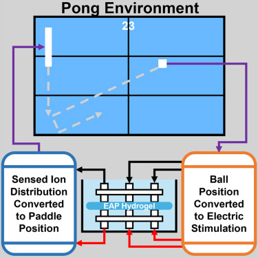 Emergent Computing: nuova frontiera dell'Intelligenza Artificiale 6 image 211
