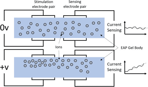 Emergent Computing: nuova frontiera dell'Intelligenza Artificiale 7 image 212