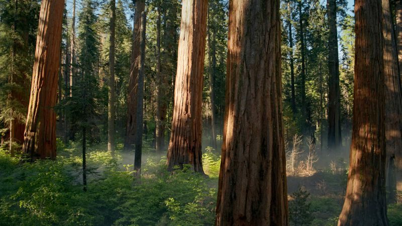 Apple: iOS 18, watchOS 11, tvOS 18 e le novità da Universal Music e Vision 10 image 33 1