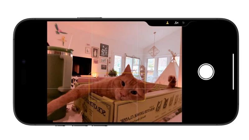 iOS 18.1: nuove funzionalità di Apple Intelligence 8 image 193 29