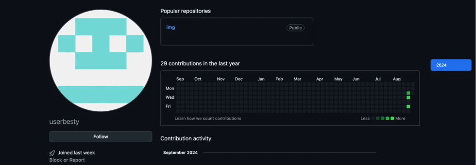 Vende vulnerabilità per OnlyFans e infetta criminali 7 image 33