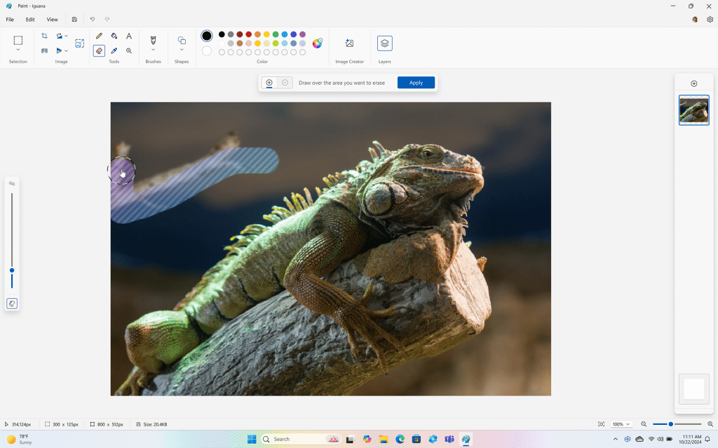 Windows 11 e Bing: Copilot+, update 2024 e ricerca generativa 10 image 3