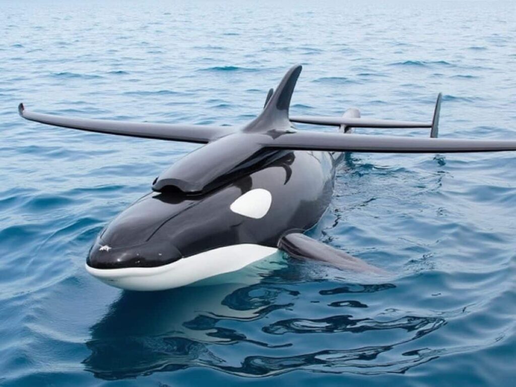 Metodi autonomi per il monitorare e rilevare delle balene con droni 2 Nuovi metodi autonomi per il monitoraggio e il rilevamento delle balene con droni