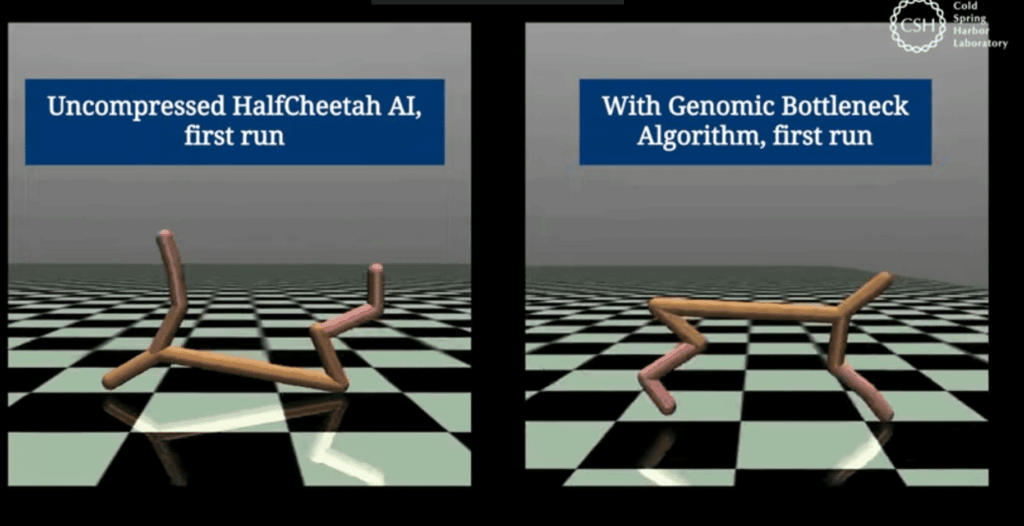 Screenshot 2024 11 28 164039