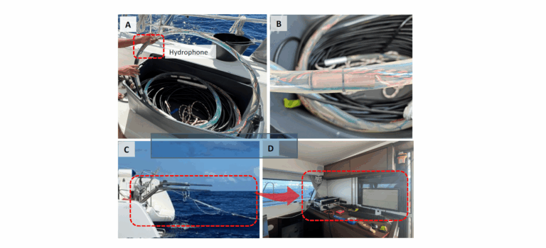 Nuovi metodi di tracciamento delle Balene con Robot utonomi 6 image 16
